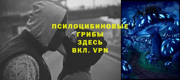 дмт Армянск