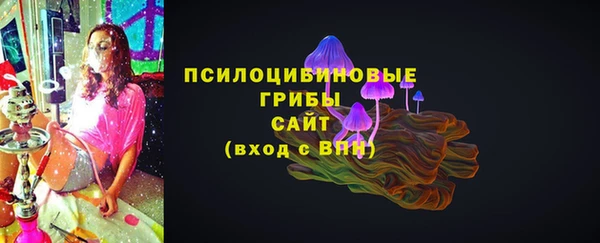 стаф Алексин