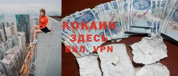 ГАЛЛЮЦИНОГЕННЫЕ ГРИБЫ Арсеньев