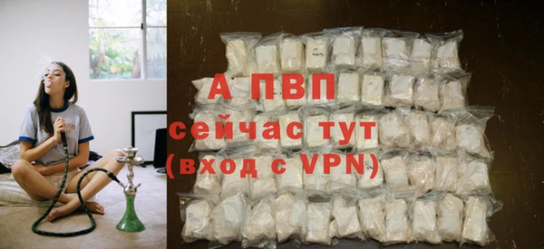 стафф Аркадак
