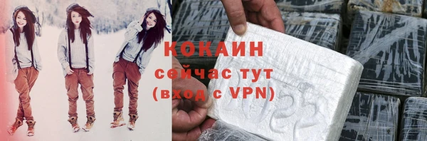 стафф Аркадак